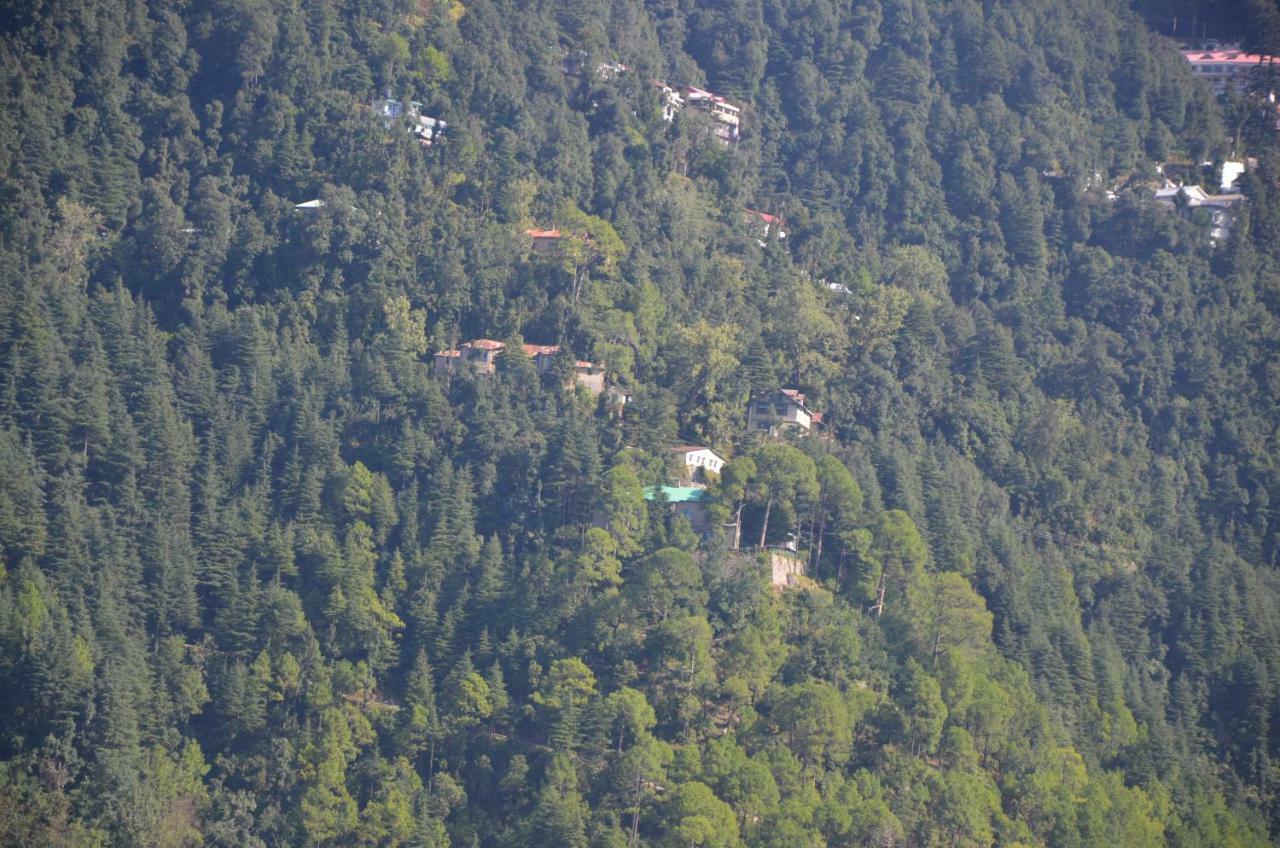 Peaceful Retreat Home Stay, Dalhousie Extérieur photo